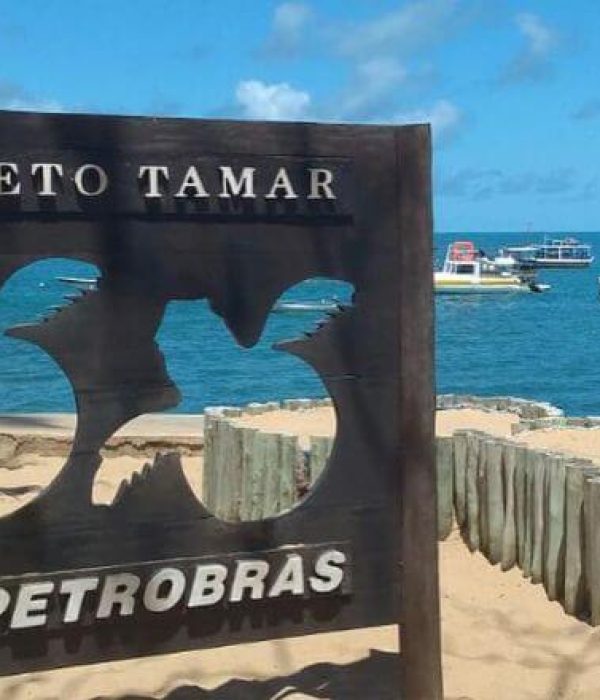 Foto da Praia do Forte em frente ao Projeto Tamar - Passeio para Praia do Forte e Guarajuba com a Gran Turismo